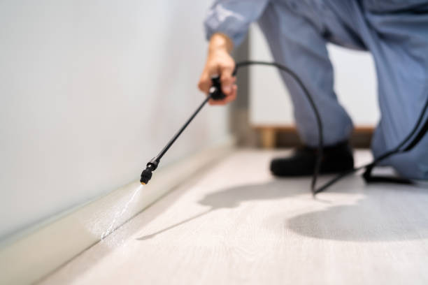 Licensed Pest Control service in Sidney, MT - Show Me Pest Control